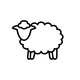 Wool