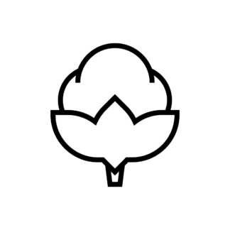 Cotton