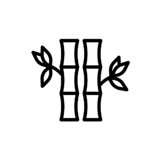 Bamboo
