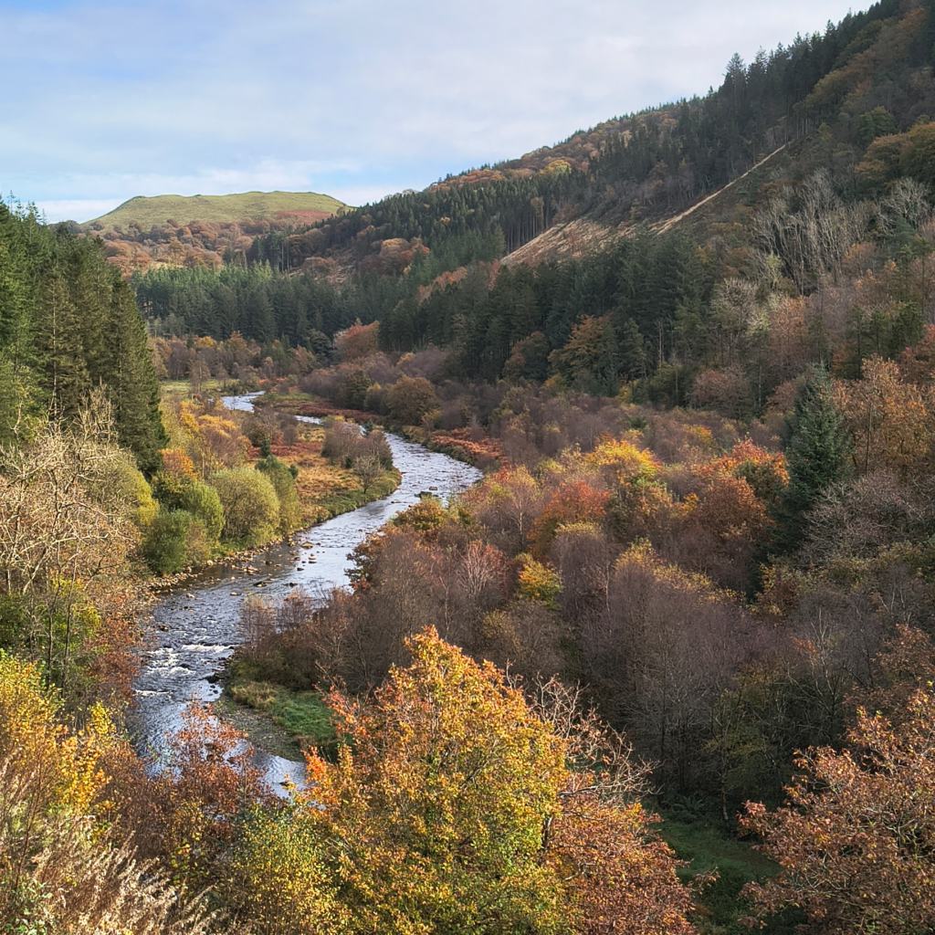 An autumn view of the river at the Hafod Estate, Mid Wales.